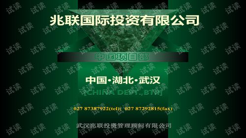 兆联公司融资租赁项目策划与商业计划书模板解析